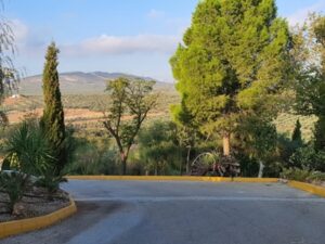 Corrales Park street view 2