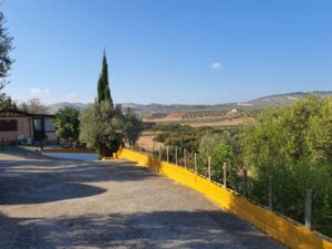 Corrales Park street view 1